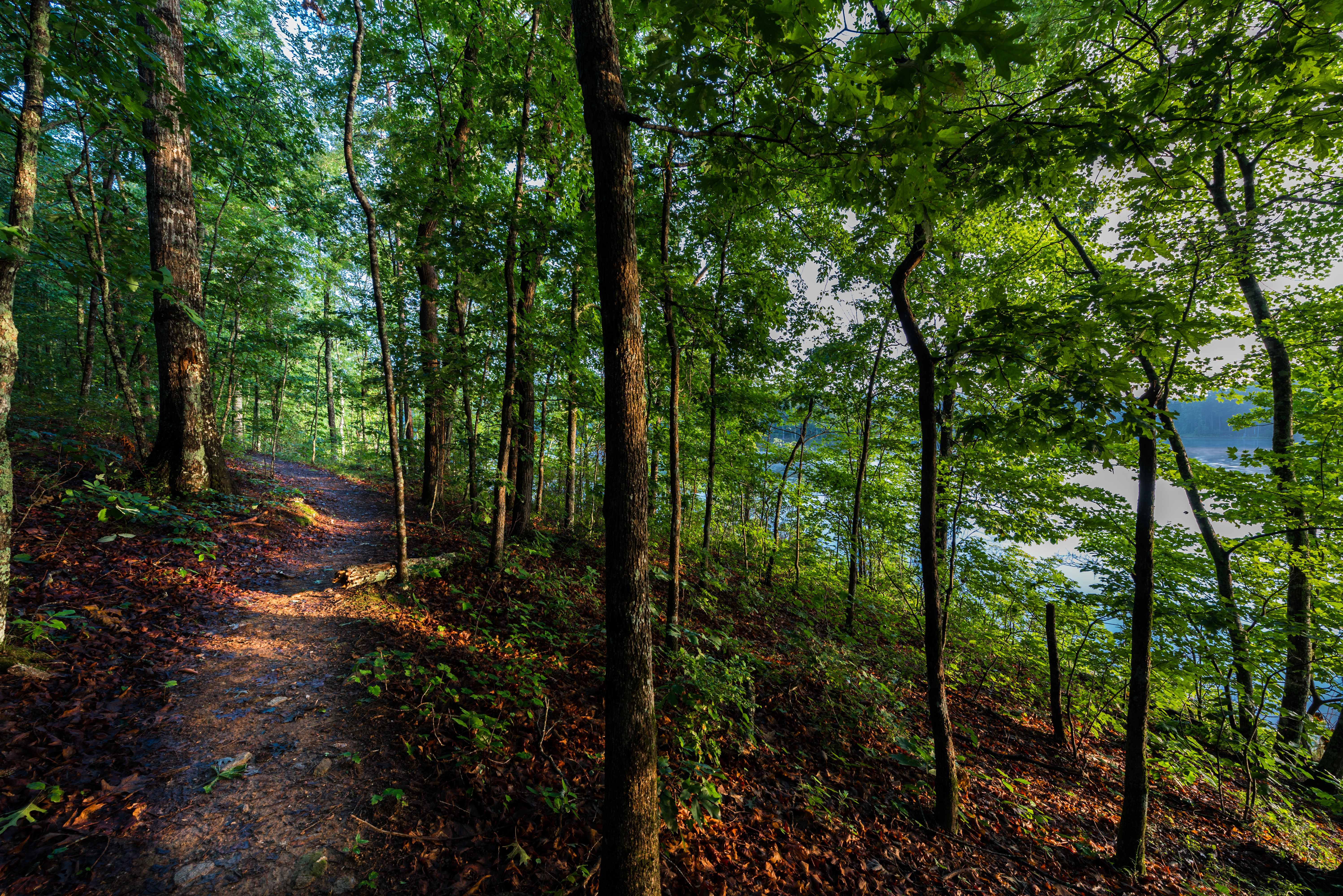 Canton woods and water